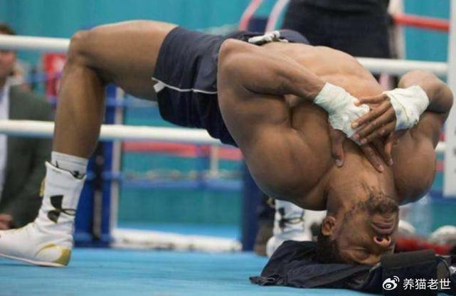 网页版入口-体坛5大“非人类”肌肉：泰森的脖子，奥尼尔的手臂，C罗的大腿|博尔特|张伟丽|克里斯蒂亚诺·罗纳尔多|迈克尔-泰森|沙奎尔-奥尼尔_新浪体育_新浪新闻